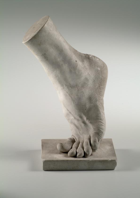 Linker männlicher Fuß (Lebendabguss) ("b")