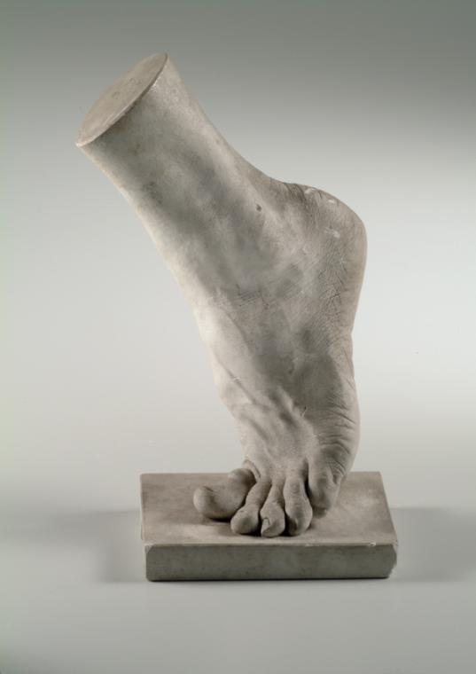 Linker männlicher Fuß (Lebendabguss) ("b")