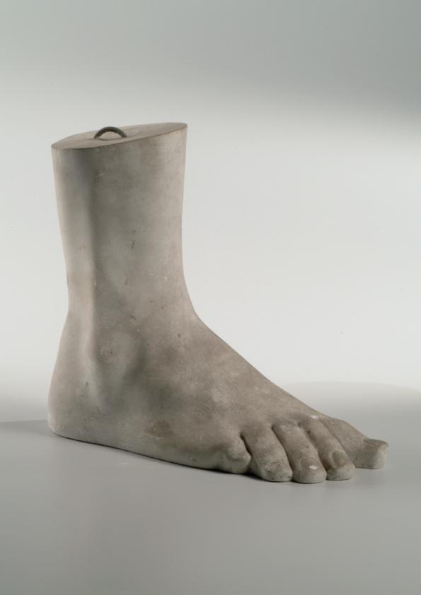 Rechter männlicher Fuß (Muster)