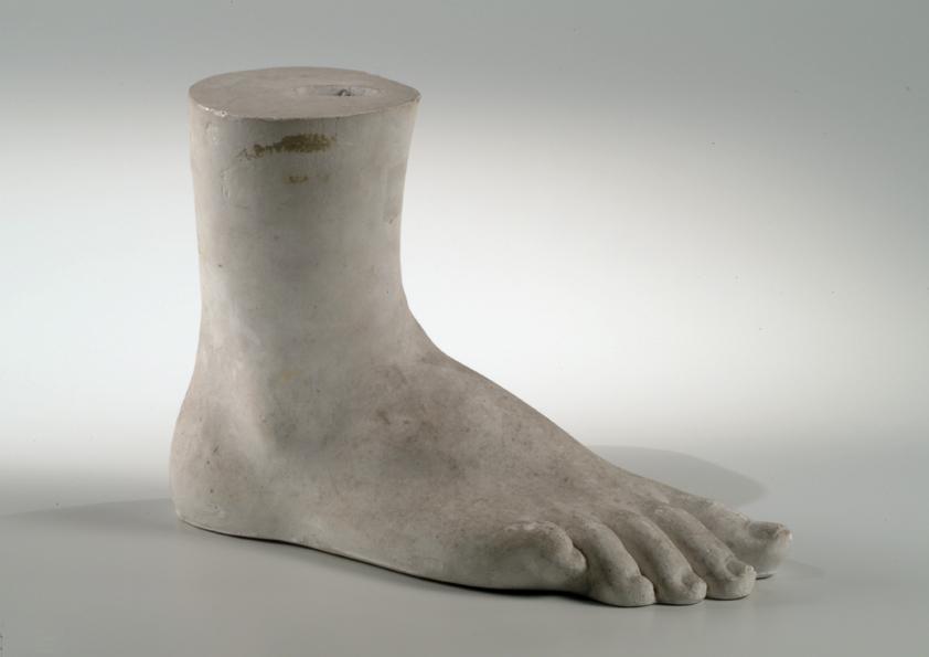 Rechter männlicher Fuß (Muster) ("130")