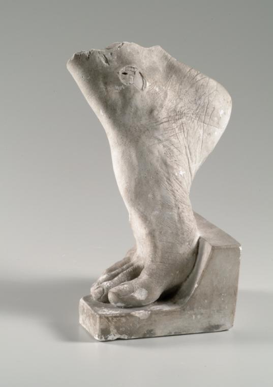 Rechter weiblicher Fuß (Lebendabguss)