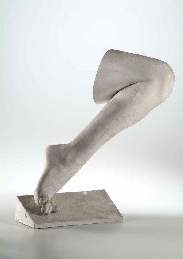 Rechter weiblicher Unter- und Oberschenkel