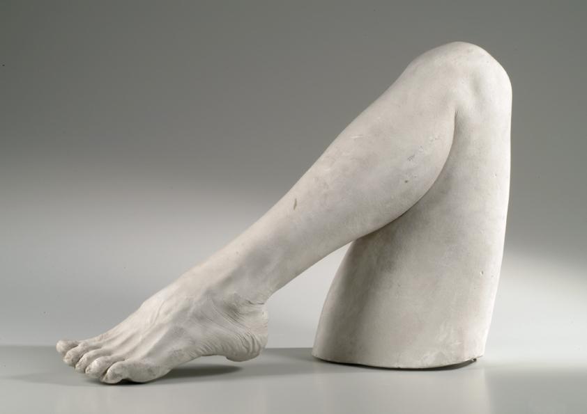 Linker weiblicher Unter- und Oberschenkel