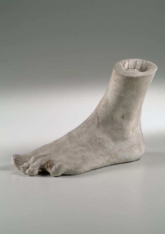 Linker männlicher Fuß (Muster)