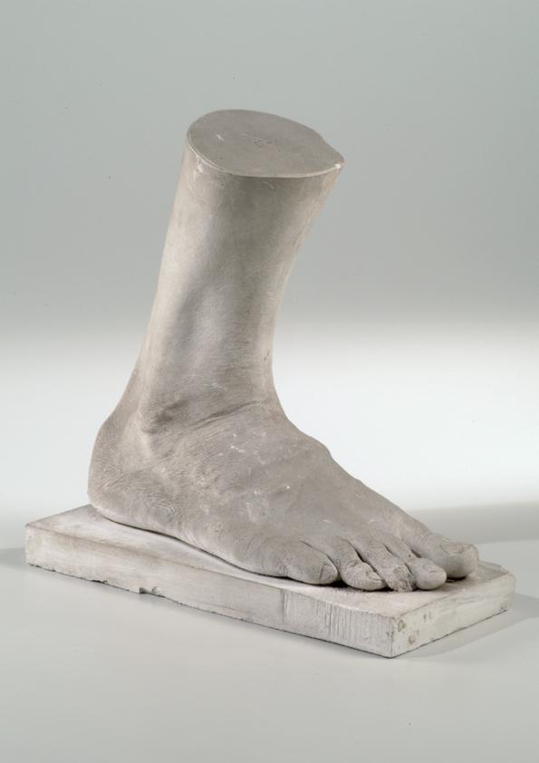 Rechter männlicher Fuß (Lebendabguss)