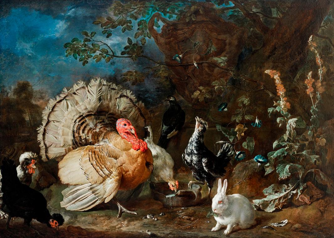 Franz Werner Tamm, Hausgeflügel und Kaninchen, um 1706, Öl auf Leinwand, 137 x 186 cm, Belveder ...