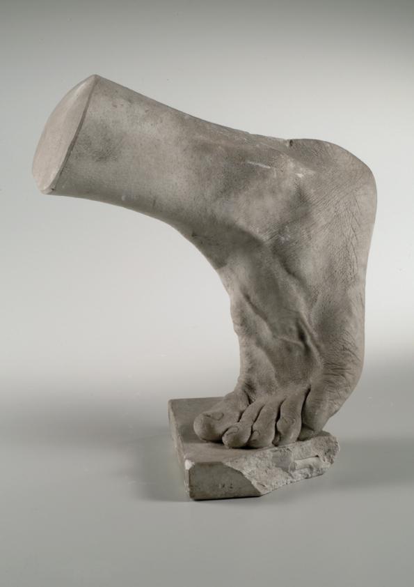 Linker männlicher Fuß (Lebendabguss)