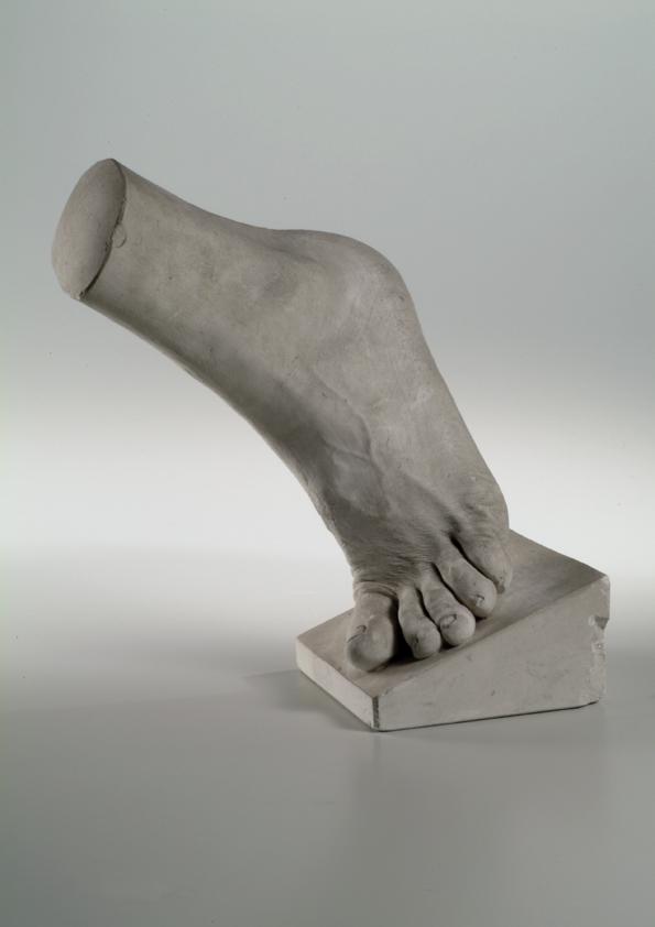 Linker weiblicher Fuß (Lebendabguss) ("Heemann")