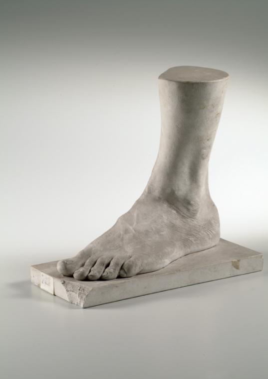 Linker männlicher Fuß (Lebendabguss) ("a")