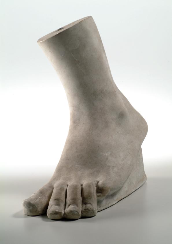 Linker männlicher Fuß (Modell)