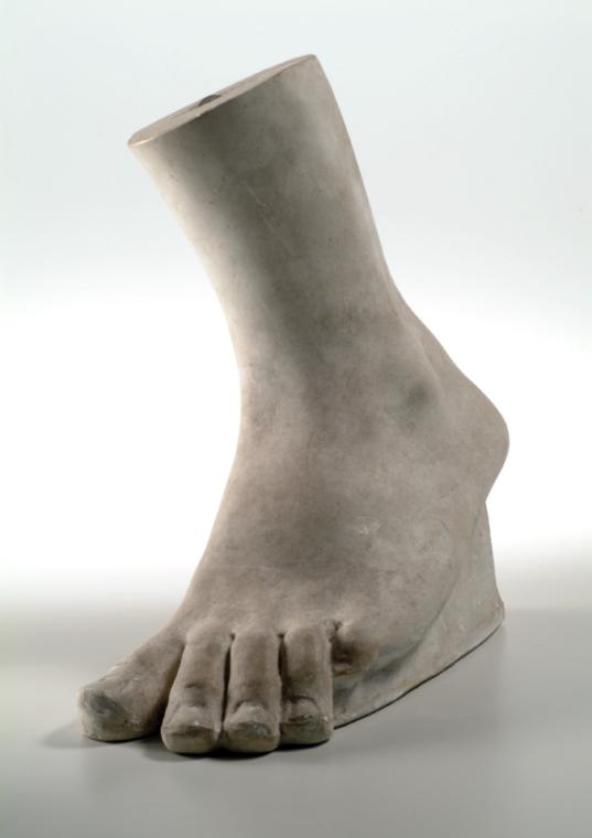 Linker männlicher Fuß (Modell)