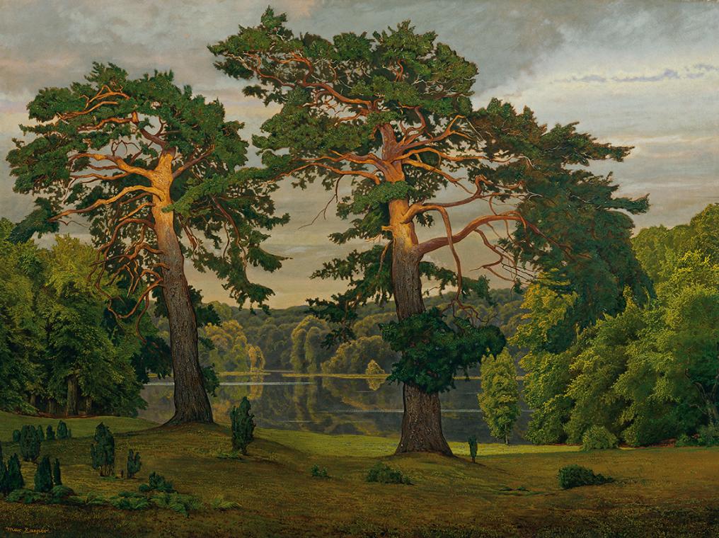 Max Zaeper, Kiefern am Waldrand, 1900–1920, Öl auf Leinwand auf Holz, 153 × 207,5 cm, Belvedere…