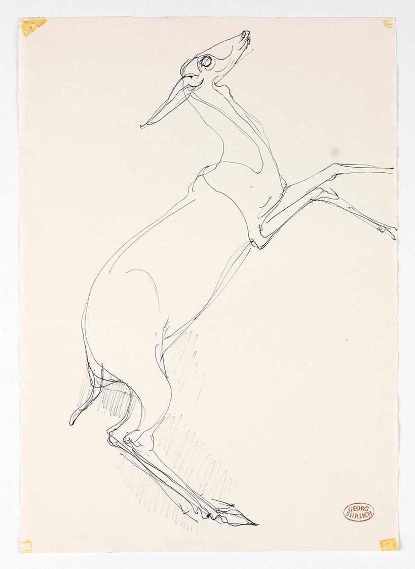 Georg Ehrlich, Sich aufrichtendes Reh, 1957–1958, Kugelschreiber, 29,7 × 21 cm, Belvedere, Wien…