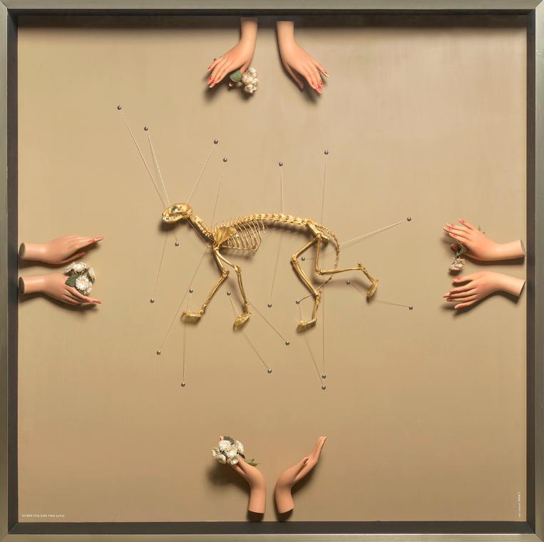 Curt Stenvert, Blumen für eine tote Katze, 1963, Öl auf Holz, Knochen, Metall, Email, Kunststof…