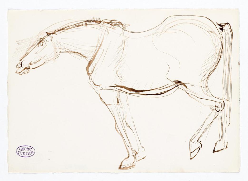 Georg Ehrlich, Stehendes Pferd, 1962, Feder in Braun, 14,8 × 21 cm, Belvedere, Wien, Inv.-Nr. 1 ...