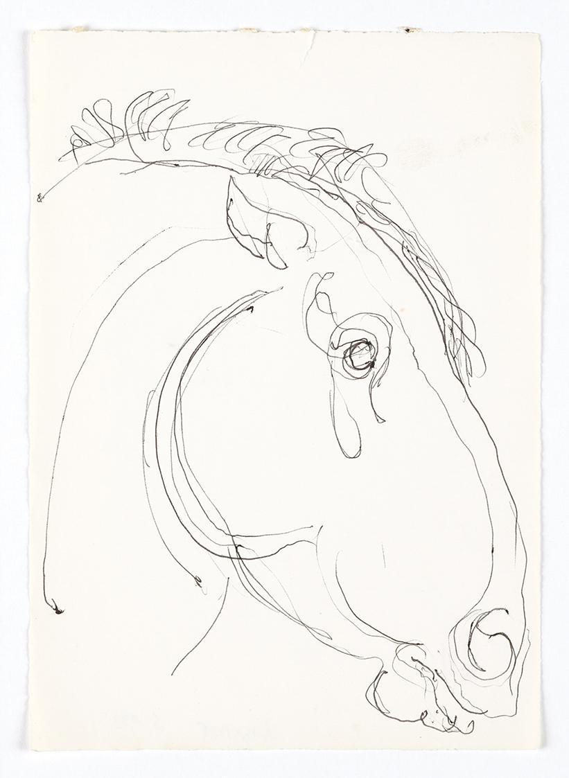 Georg Ehrlich, Pferdekopf, 1962, Kugelschreiber, 20,7 × 14,7 cm, Belvedere, Wien, Inv.-Nr. 1026 ...