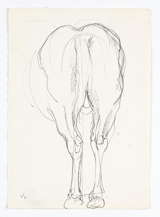 Georg Ehrlich, Hinterteil eines Pferdes, 1962, Kugelschreiber, 20,7 × 14,7 cm, Belvedere, Wien,…