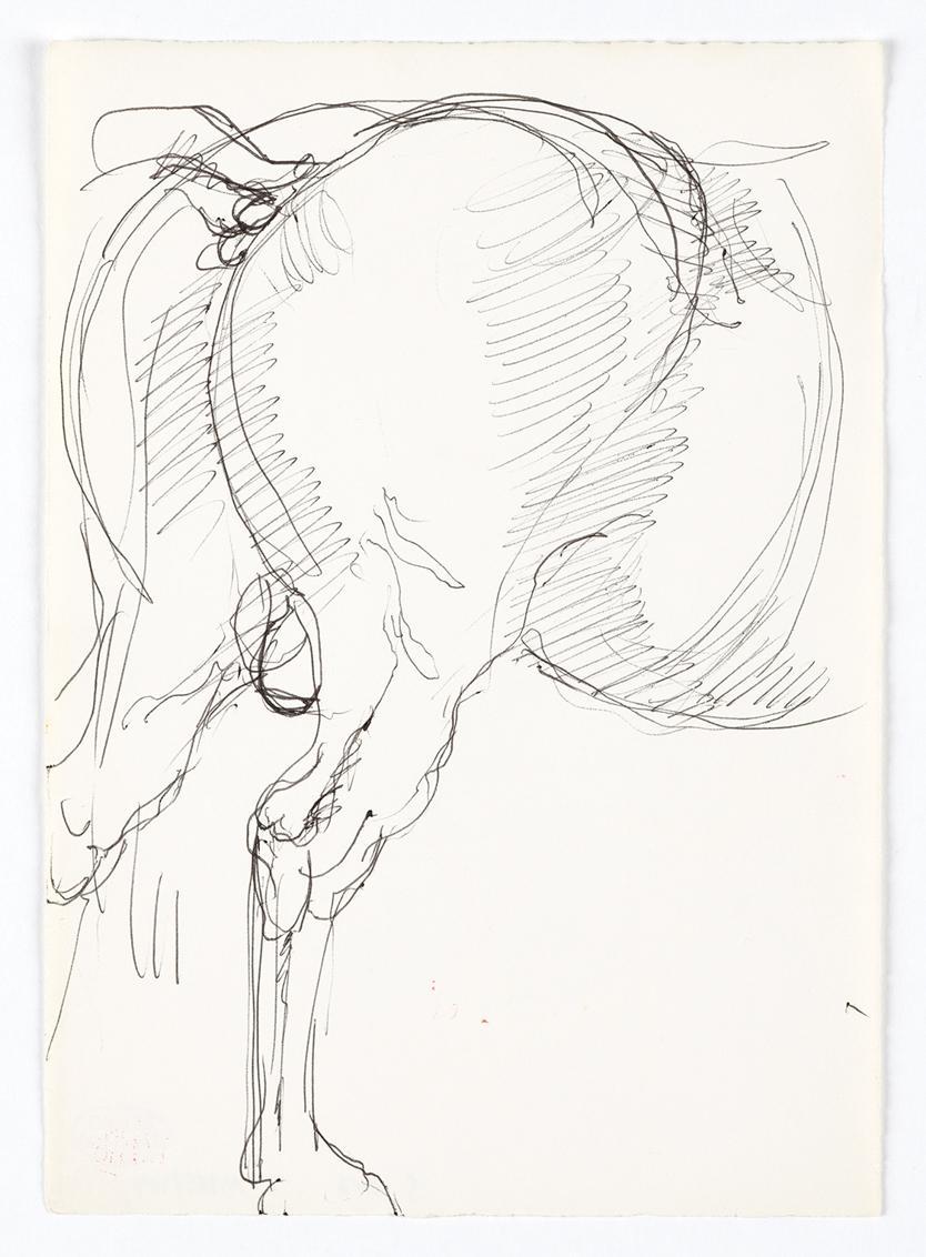 Georg Ehrlich, Hinterteil eines Pferdes, 1962, Kugelschreiber, 20,7 × 14,7 cm, Belvedere, Wien,…