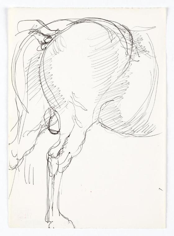 Georg Ehrlich, Hinterteil eines Pferdes, 1962, Kugelschreiber, 20,7 × 14,7 cm, Belvedere, Wien,…