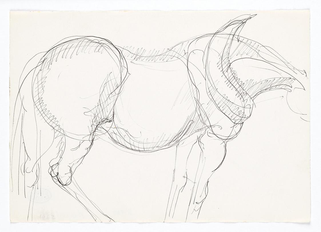 Georg Ehrlich, Pferdetorso, 1962, Kugelschreiber, 14,8 × 20,9 cm, Belvedere, Wien, Inv.-Nr. 102 ...