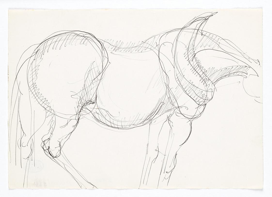 Georg Ehrlich, Pferdetorso, 1962, Kugelschreiber, 14,8 × 20,9 cm, Belvedere, Wien, Inv.-Nr. 102…