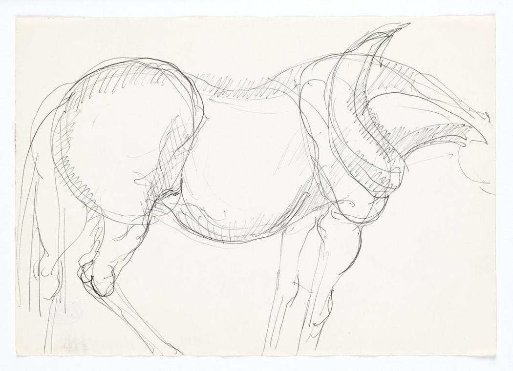 Georg Ehrlich, Pferdetorso, 1962, Kugelschreiber, 14,8 × 20,9 cm, Belvedere, Wien, Inv.-Nr. 102…