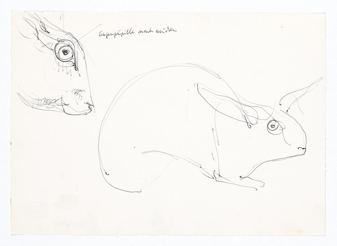 Georg Ehrlich, Hasenskizze, 1964, Kugelschreiber, 14,7 × 20,8 cm, Belvedere, Wien, Inv.-Nr. 102…