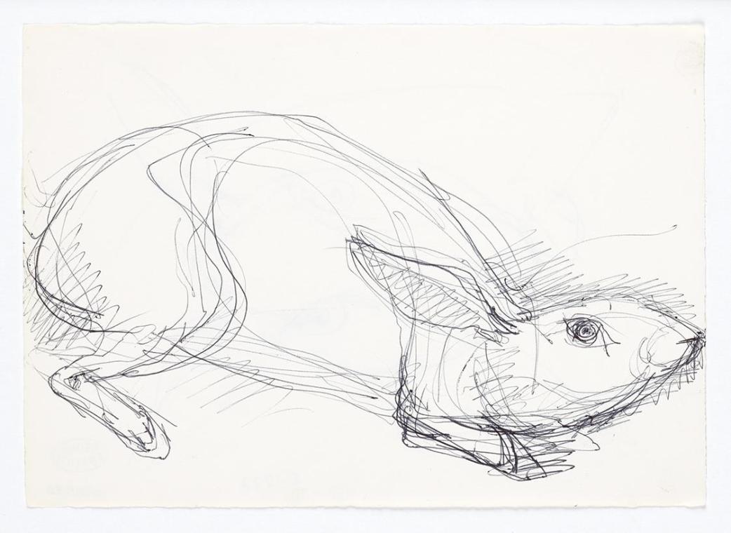 Georg Ehrlich, Hasenskizze, 1964, Kugelschreiber, 14,7 × 20,8 cm, Belvedere, Wien, Inv.-Nr. 102…