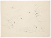 Georg Ehrlich, Schwanenstudien, Bleistift, 27,7 × 38,1 cm, Belvedere, Wien, Inv.-Nr. 10265/250