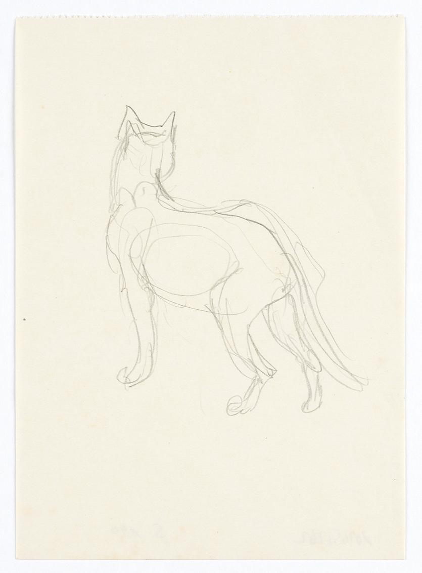 Georg Ehrlich, Rückenansicht einer Katze, Bleistift, 16,9 × 12,2 cm, Belvedere, Wien, Inv.-Nr. …