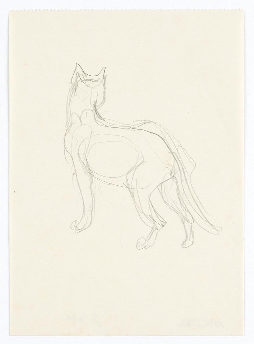 Georg Ehrlich, Rückenansicht einer Katze, Bleistift, 16,9 × 12,2 cm, Belvedere, Wien, Inv.-Nr.  ...