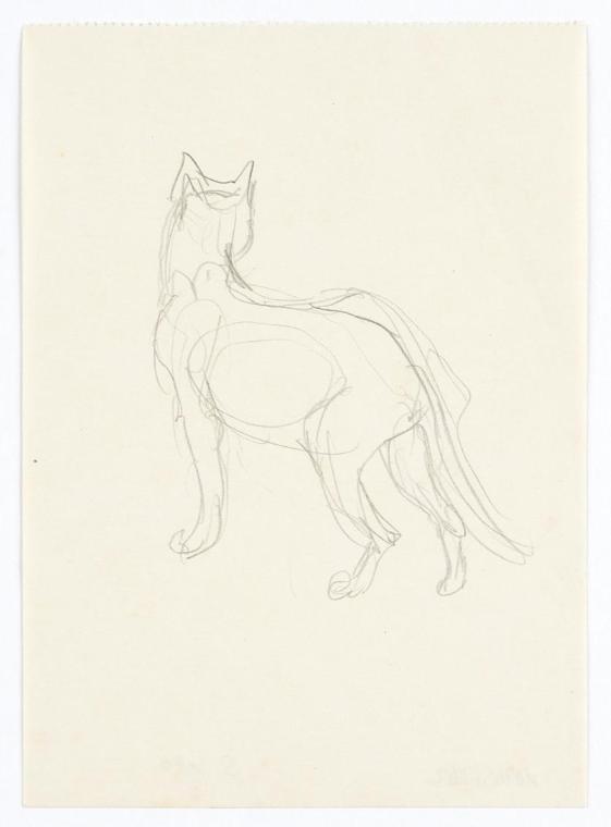 Georg Ehrlich, Rückenansicht einer Katze, Bleistift, 16,9 × 12,2 cm, Belvedere, Wien, Inv.-Nr. …