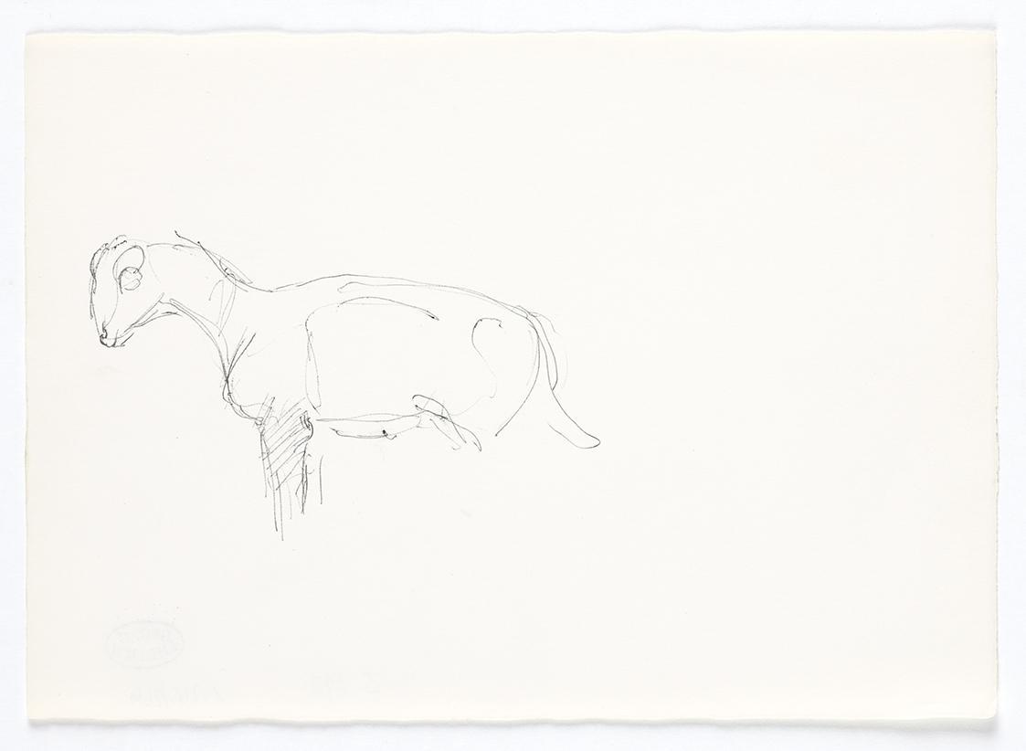 Georg Ehrlich, Studie eines Lammes, Kugelschreiber, 14,8 × 21 cm, Belvedere, Wien, Inv.-Nr. 102…