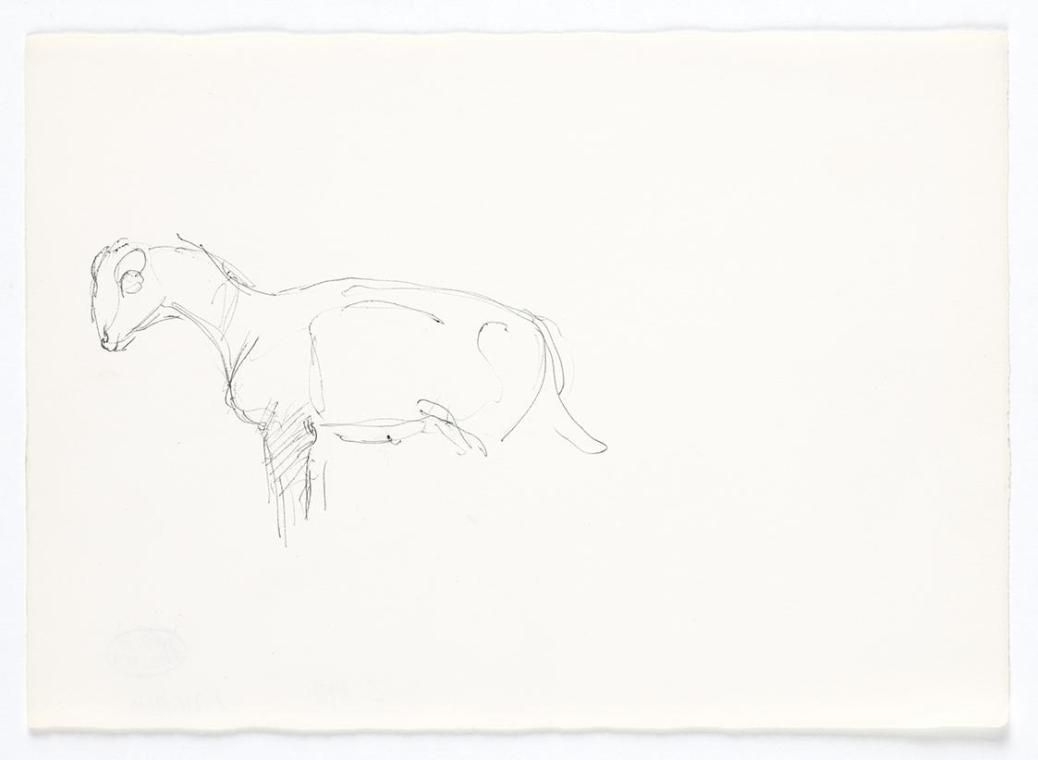 Georg Ehrlich, Studie eines Lammes, Kugelschreiber, 14,8 × 21 cm, Belvedere, Wien, Inv.-Nr. 102…