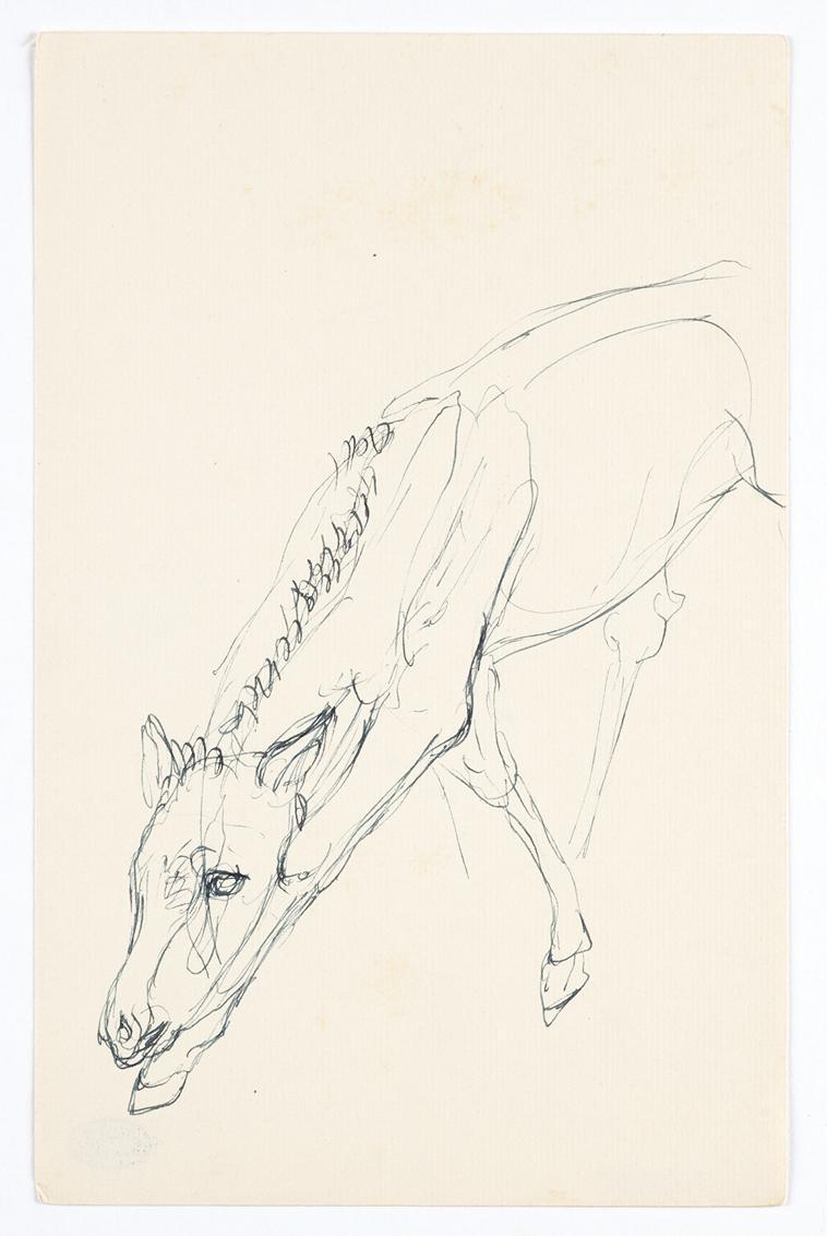 Georg Ehrlich, Pony, um 1955, Kugelschreiber, 24,5 × 15,8 cm, Belvedere, Wien, Inv.-Nr. 10265/2 ...