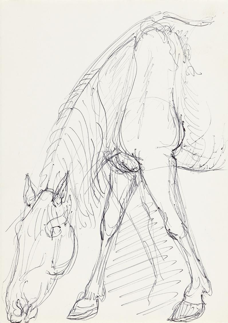 Georg Ehrlich, Grasendes Pferd, 1926, Kugelschreiber, 20,9 × 14,8 cm, Belvedere, Wien, Inv.-Nr.…