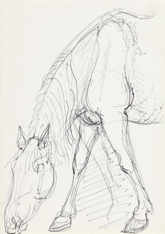 Georg Ehrlich, Grasendes Pferd, 1926, Kugelschreiber, 20,9 × 14,8 cm, Belvedere, Wien, Inv.-Nr.…