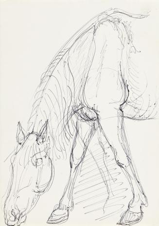 Georg Ehrlich, Grasendes Pferd, 1926, Kugelschreiber, 20,9 × 14,8 cm, Belvedere, Wien, Inv.-Nr.…