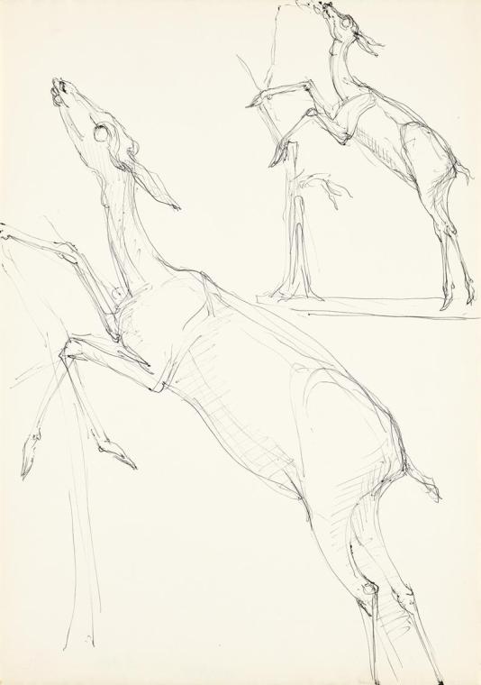 Knabberndes Reh (Studien)