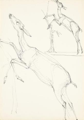 Georg Ehrlich, Knabberndes Reh (Studien), Kugelschreiber, 29,5 × 21 cm, Belvedere, Wien, Inv.-N…