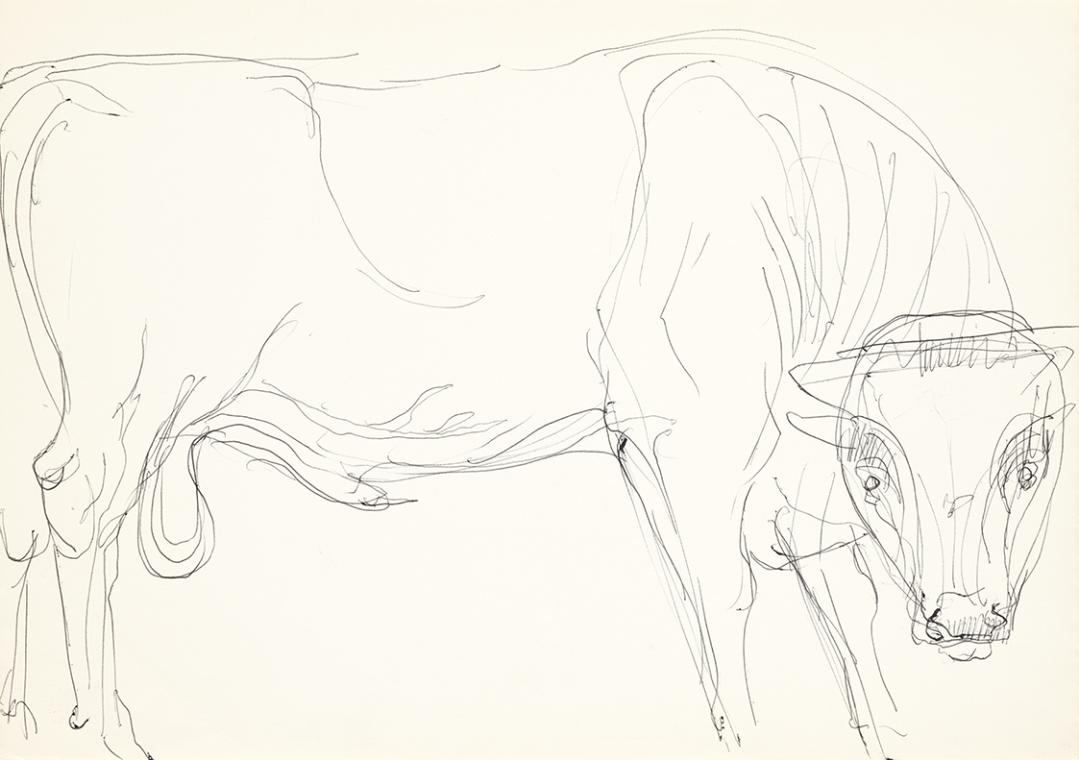 Georg Ehrlich, Stehender Stier, 1956, Kugelschreiber, 21 × 29,7 cm, Belvedere, Wien, Inv.-Nr. 1…