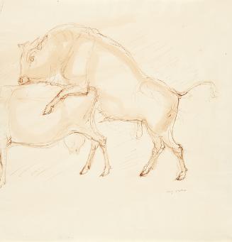 Georg Ehrlich, Stier auf Kuh, Feder in Braun, laviert, 30,6 × 29,4 cm, Belvedere, Wien, Inv.-Nr…