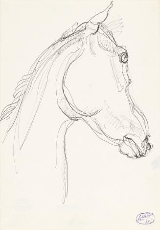 Georg Ehrlich, Pferdekopf, um 1962, Kugelschreiber, Blattmaße: 20,7 × 14,8 cm, Belvedere, Wien,…