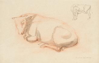Georg Ehrlich, Stiere aus Aquileja, Feder in Braun, Rötel, laviert, Blattmaße: 31,2 × 48,4 cm, …