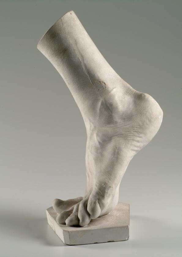 Linker männlicher Fuß (Lebendabguss) ("Pelzl")