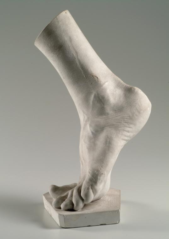 Linker männlicher Fuß (Lebendabguss) ("Pelzl")