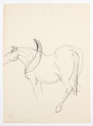 Georg Ehrlich, Stehendes Pferd, Kugelschreiber, 28,7 × 20,9 cm, Belvedere, Wien, Inv.-Nr. 10265 ...