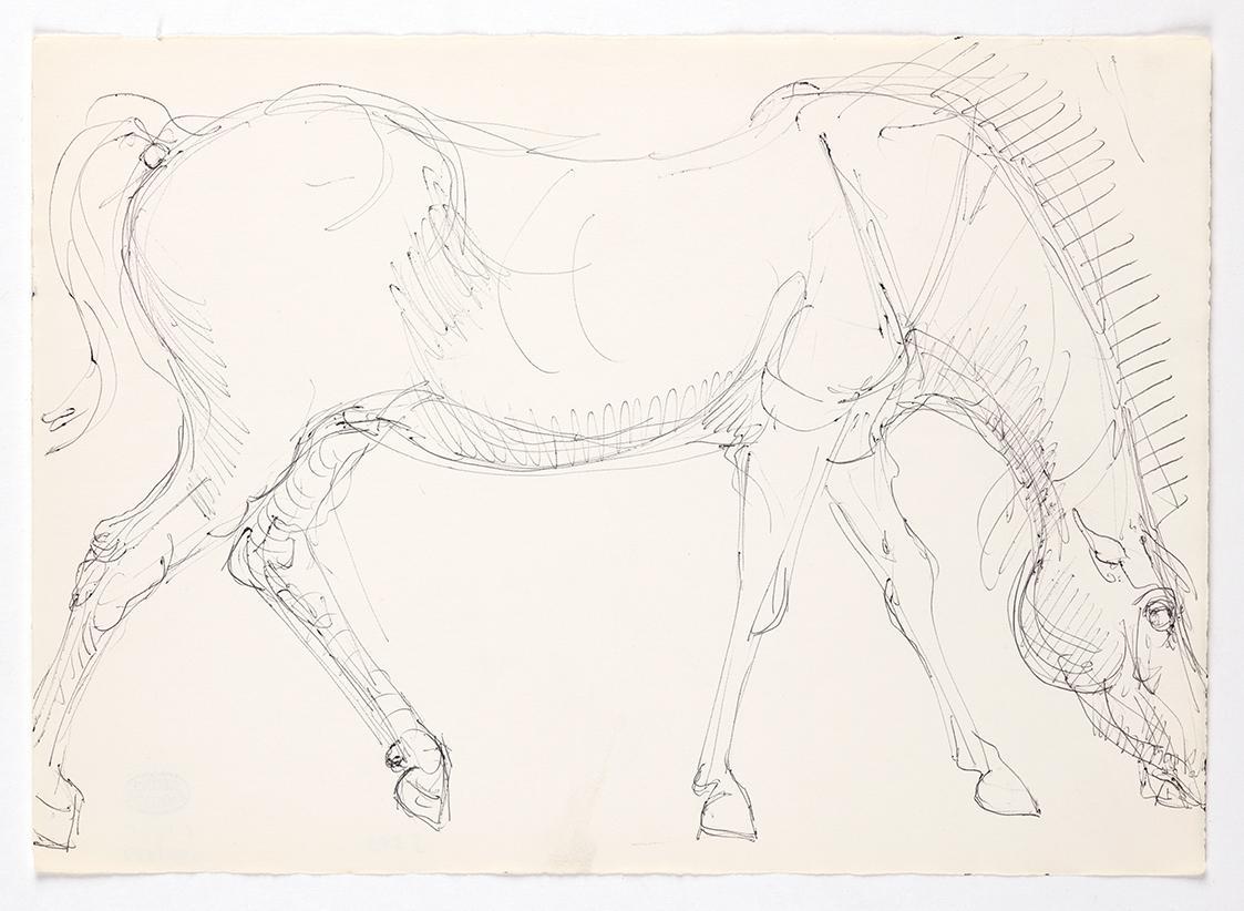 Georg Ehrlich, Stehendes Pferd, um 1960, Kugelschreiber, 21,1 × 29,5 cm, Belvedere, Wien, Inv.-…