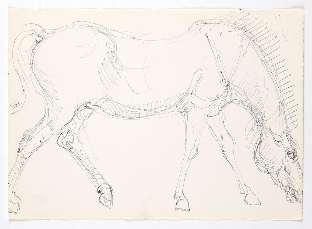 Georg Ehrlich, Stehendes Pferd, um 1960, Kugelschreiber, 21,1 × 29,5 cm, Belvedere, Wien, Inv.-…