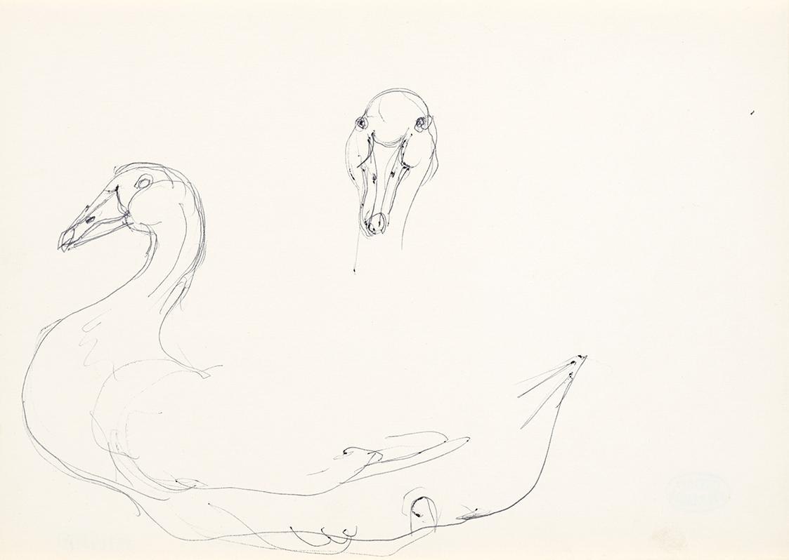 Georg Ehrlich, Entenstudie, um 1959, Kugelschreiber, 14,8 × 20,9 cm, Belvedere, Wien, Inv.-Nr. …